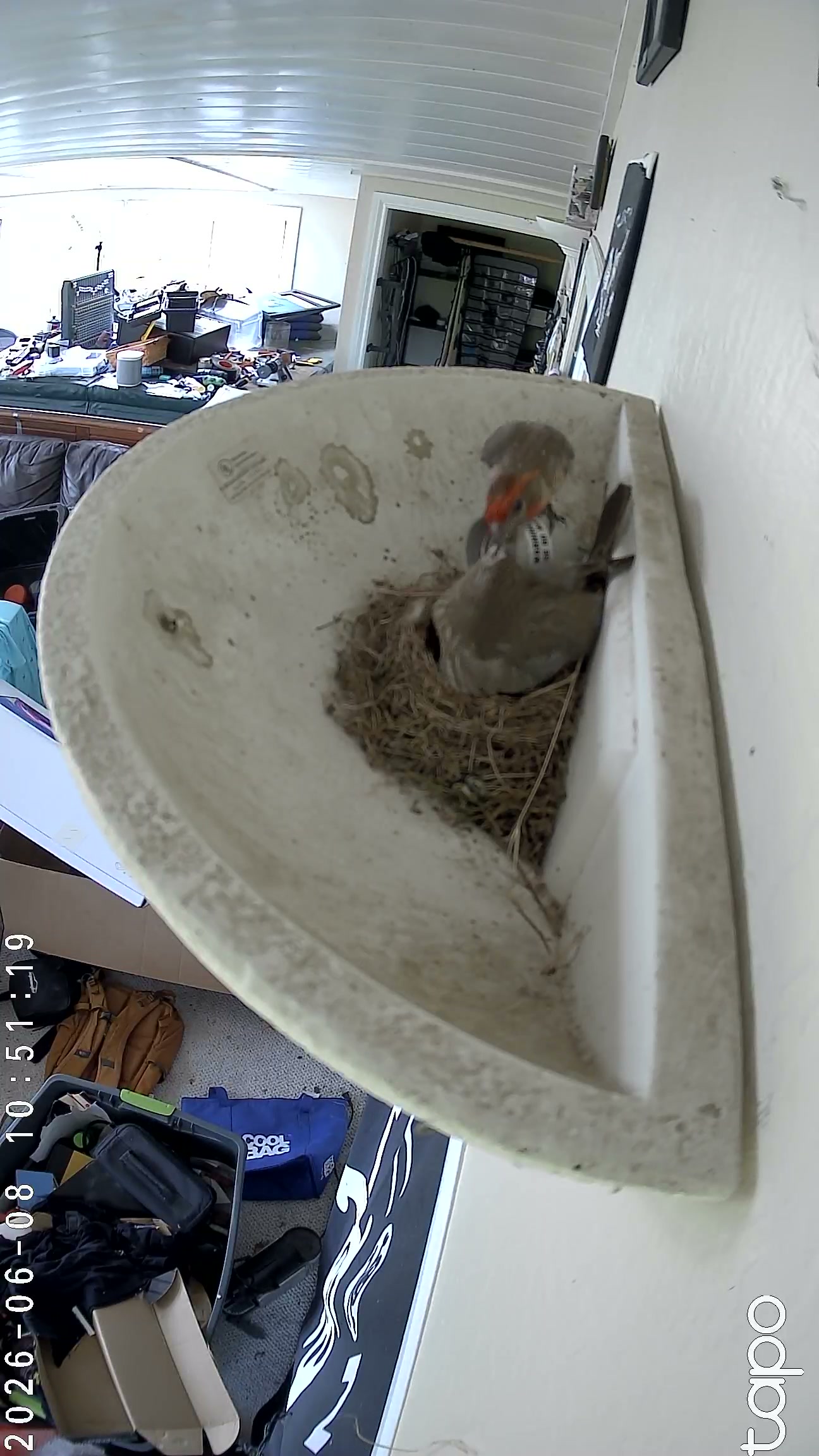 Highlight