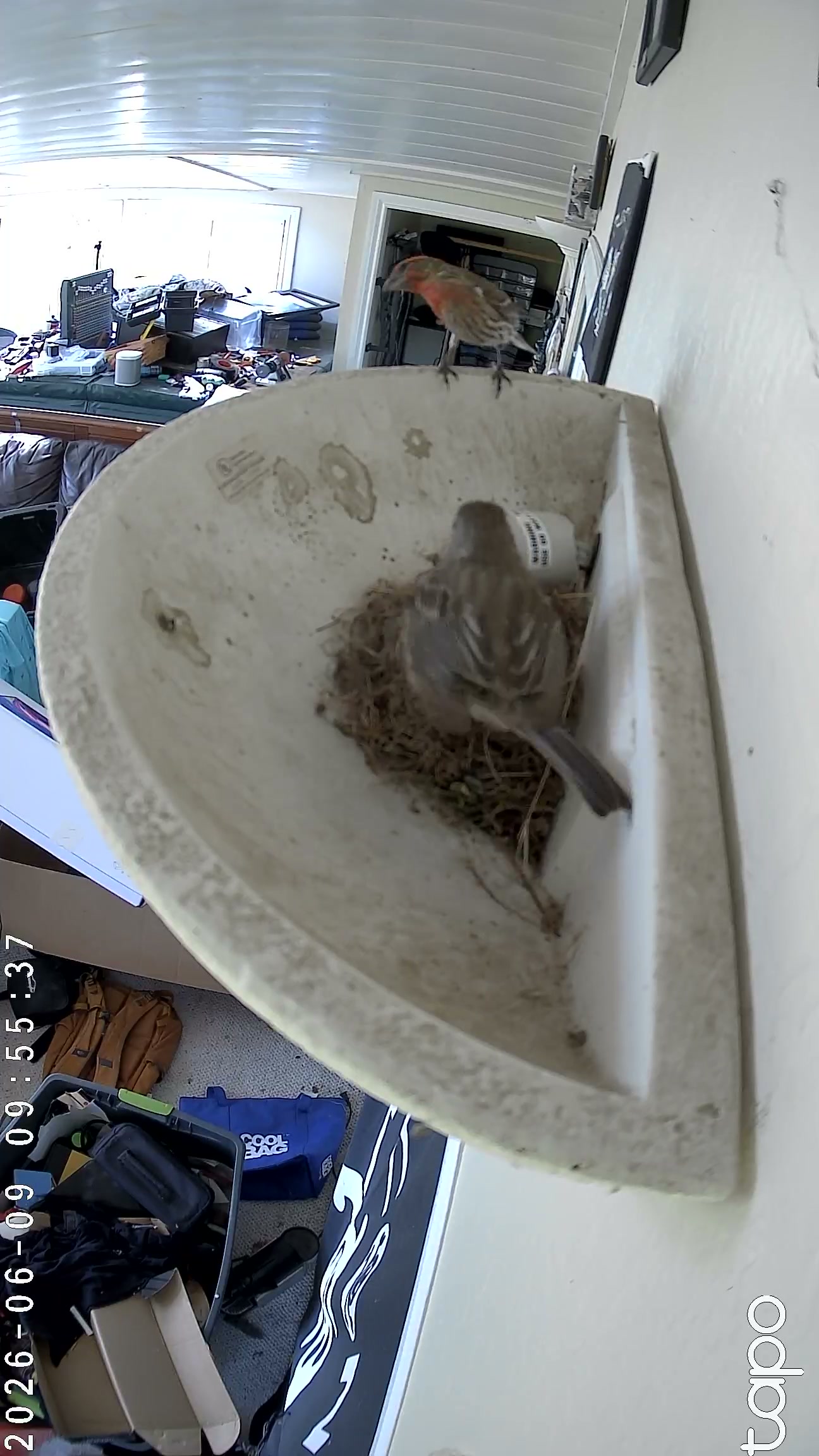Day 12 — Incubation, 396 motion clips